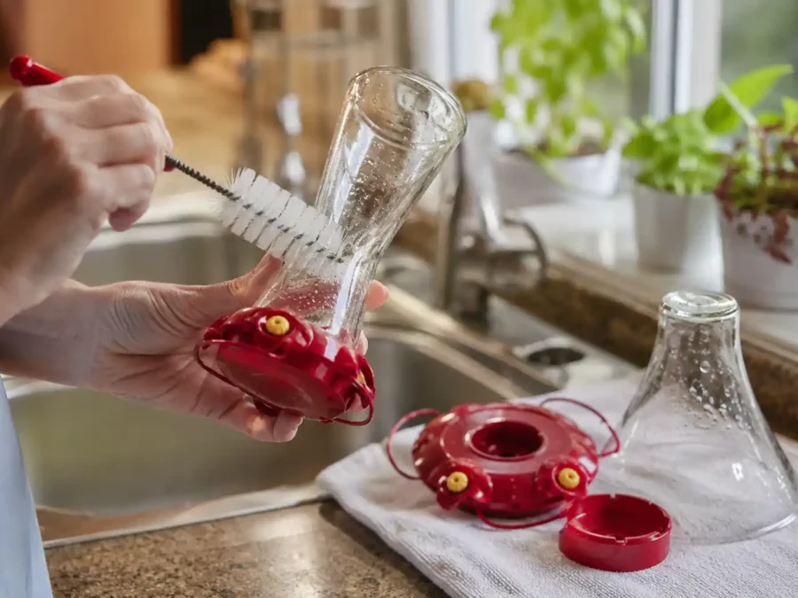 Cleaning a hummingbird feeder by hand — how to clean a hummingbird feeder the right way