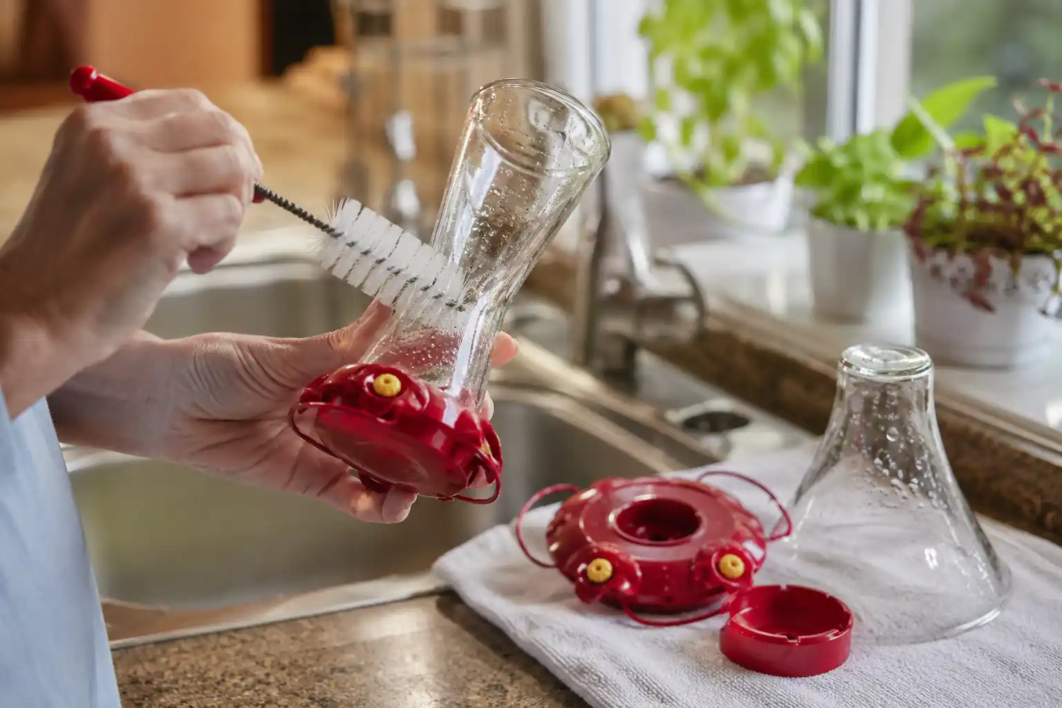 How to Clean a Hummingbird Feeder (Simple Step-by-Step Method)