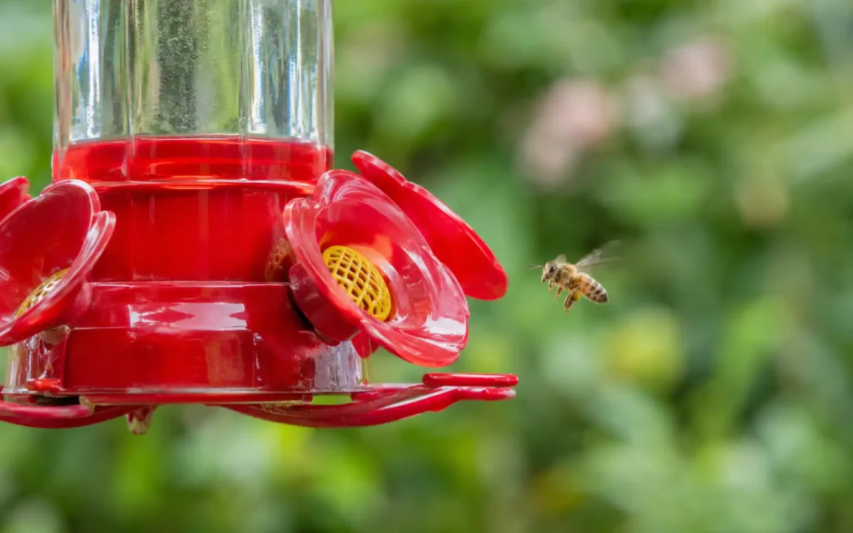 Bee guard on a hummingbird feeder port — how to keep bees and wasps away from a hummingbird feeder