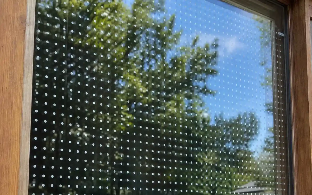 Window with spaced dot decals showing how to prevent birds from hitting windows