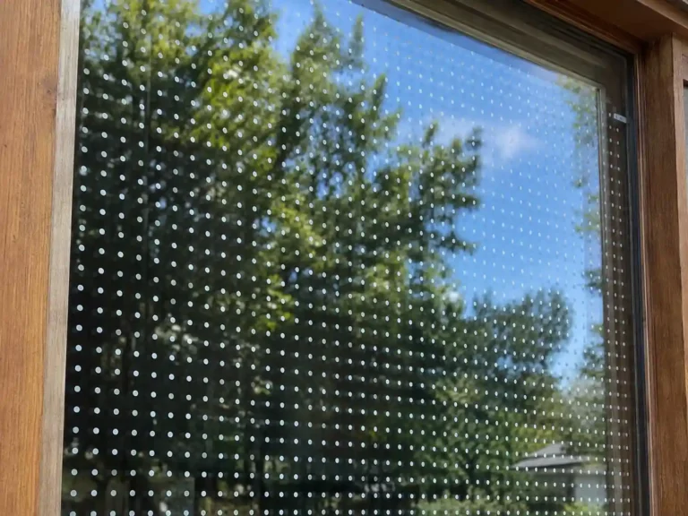 How to Prevent Birds From Hitting Windows (Proven Fixes)