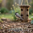 Why Do Birds Throw Seed Out of the Feeder? (And How to Stop It)